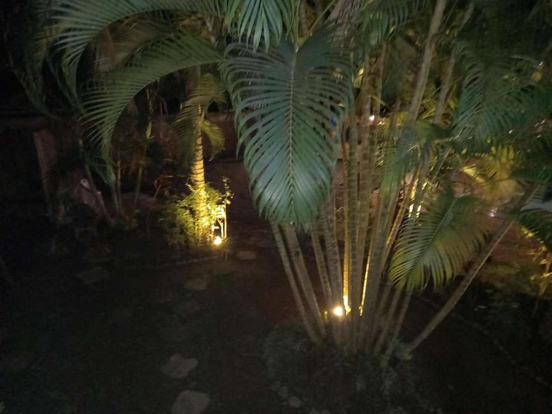 Oasis Palms Hotel Нанди Экстерьер фото